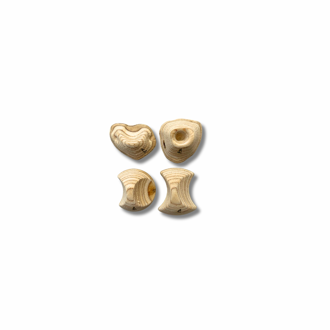 Climbing Hold Fridge Magnet (set of 4)
